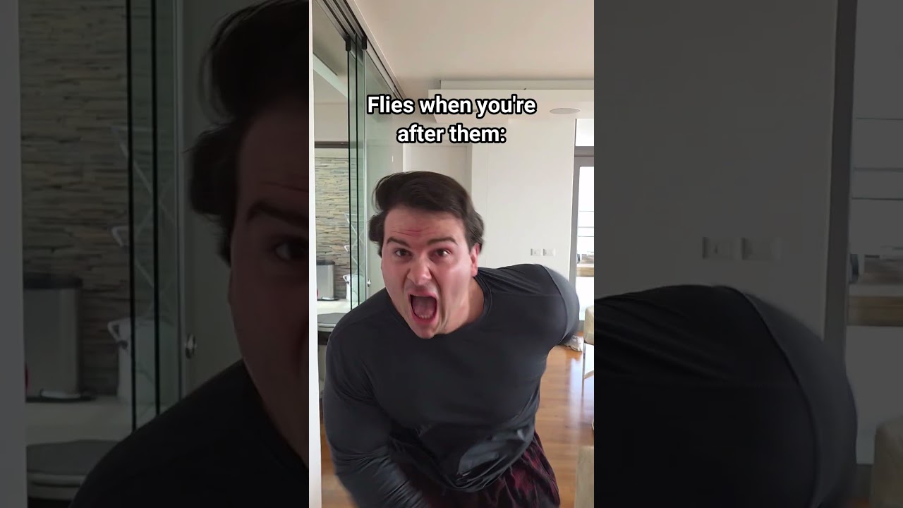 Flies When You’re After Them VS When You Ignore Them.