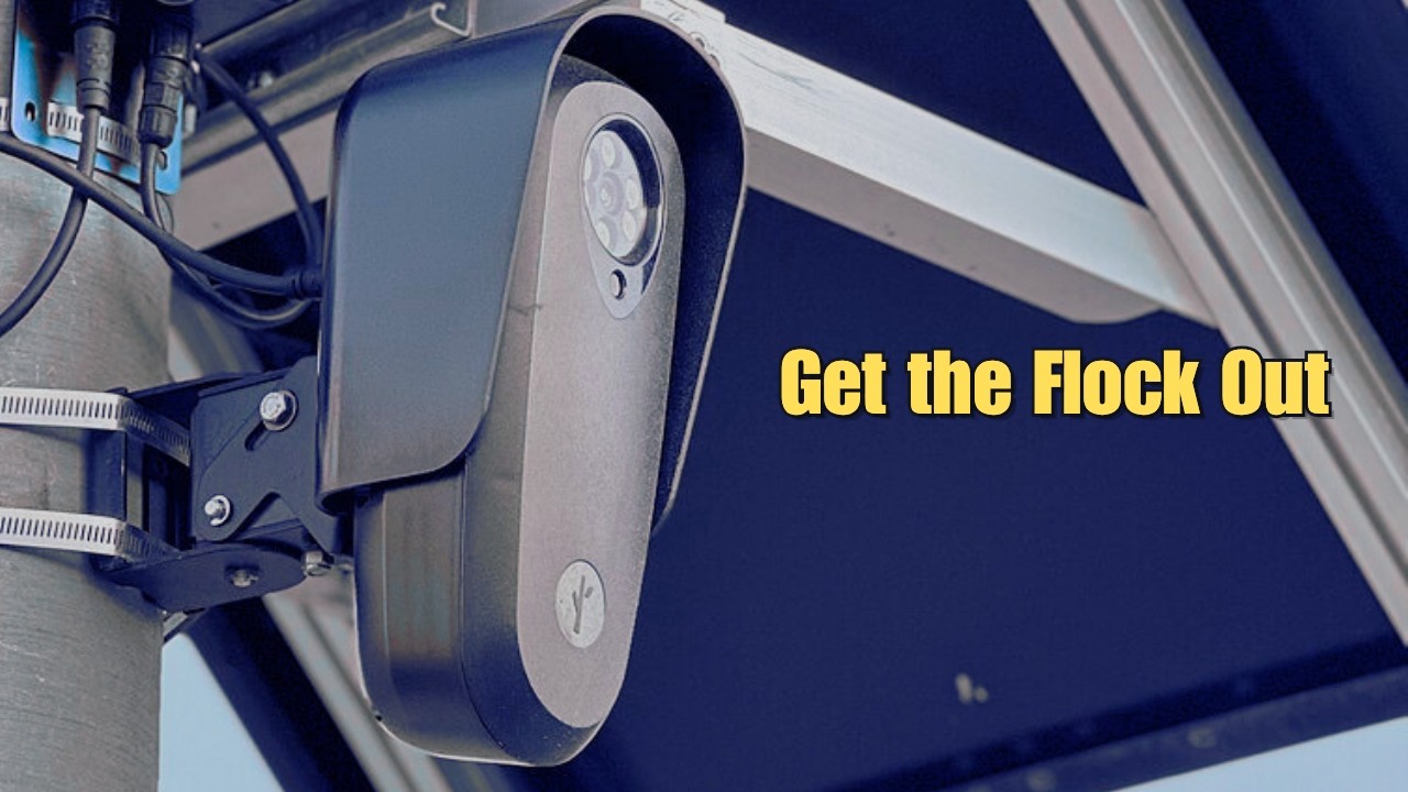 Flock Cameras Are Tracking You and Getting It Wrong (The Roman Report)
