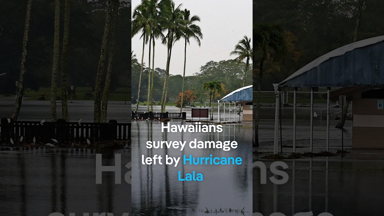 Hawaiians survey damage left by Huricane Lala | DW News