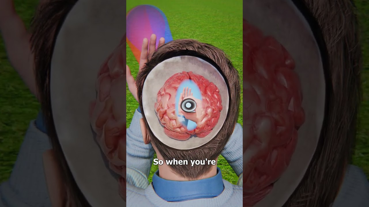 How Your Eyes Merge Different Views 😮