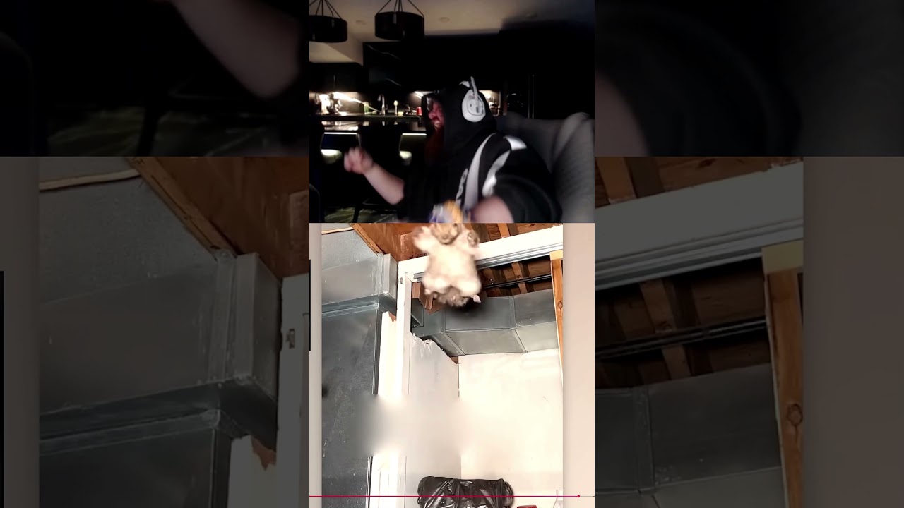 I Could Not Stop Laughing At This Video!