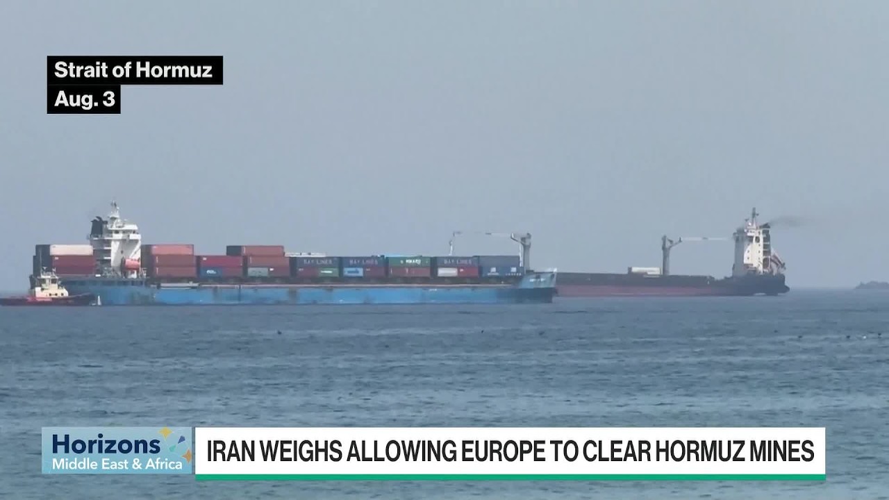 Iran Weighs Allowing Europe to Clear Mines in Hormuz