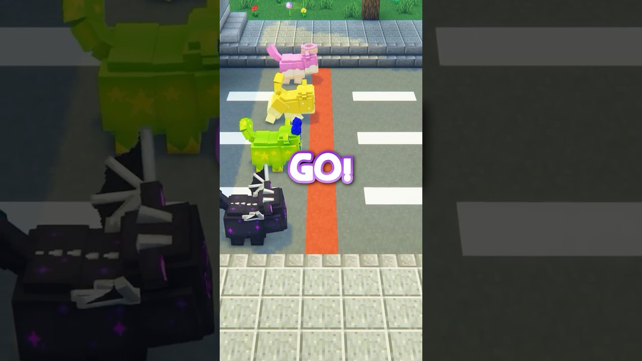 MeeMeow RACE!