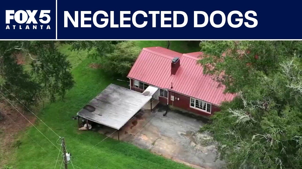 Officers find 18 dogs in filth before finding dead puppy