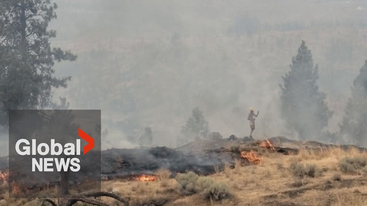 Photo captures shirtless man among flames of suspicious Knox Mountain grass fire