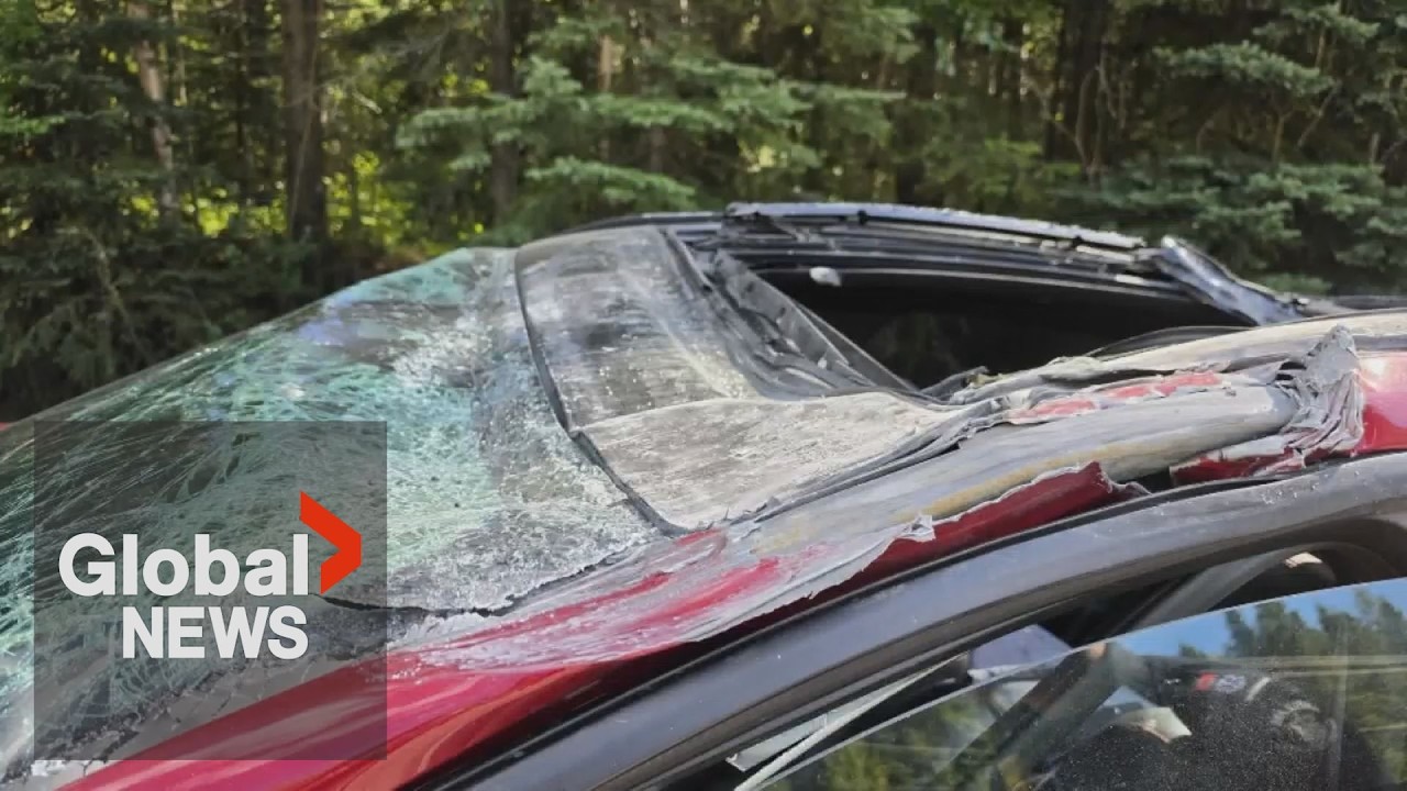 Plane crashes onto BC road, kills 1 driver in vehicle