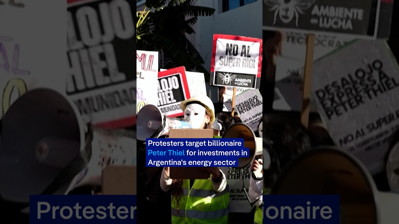 Protesters march over tech billionaire Peter Thiel’s growing influence in Argentina | DW News