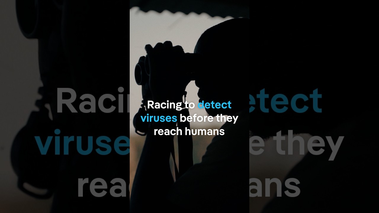 Racing to detect viruses before they reach humans | DW Documentary