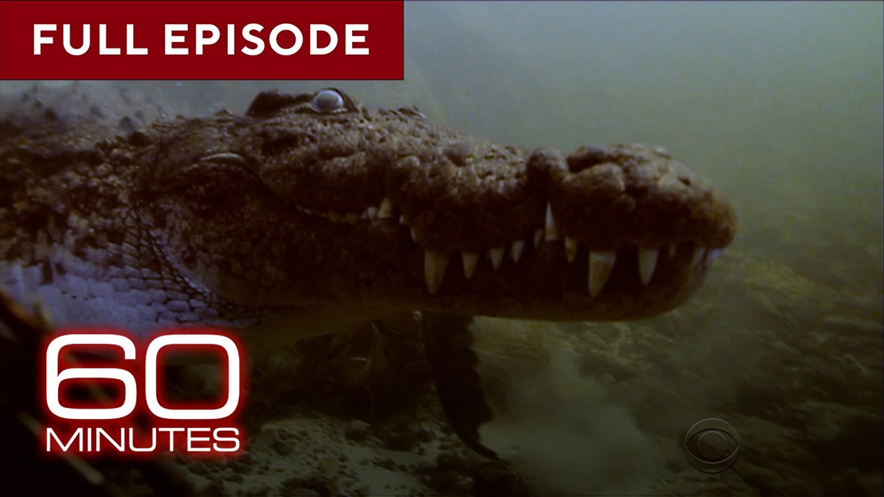 Reptiles | 60 Minutes Full Episodes
