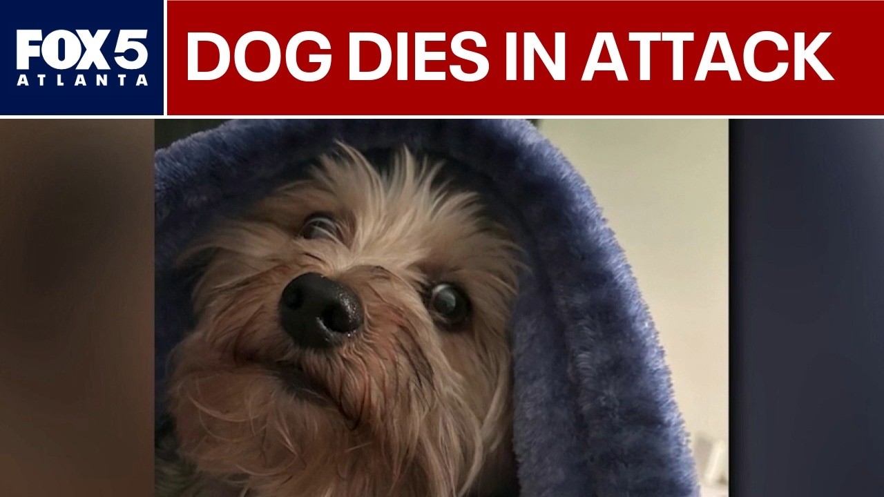 Ring camera captures audio of fatal South Fulton dog attack | FOX 5 News