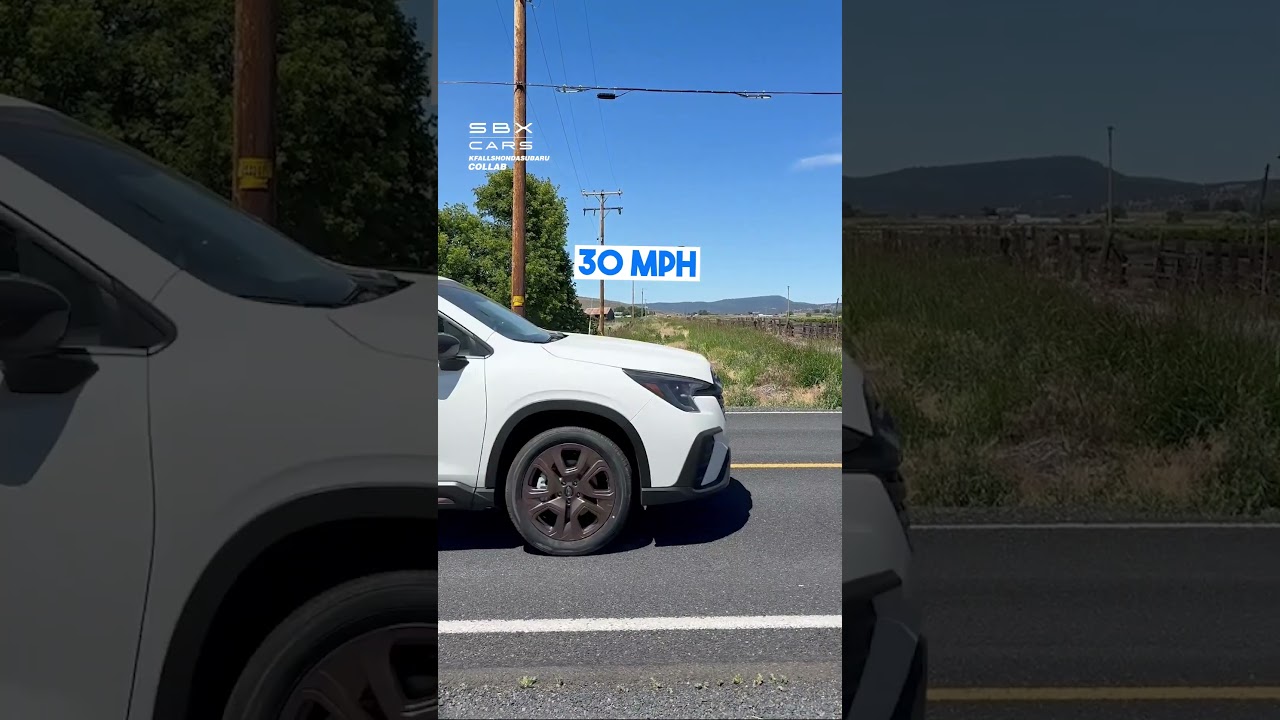 Shouting At Different Speeds! 😂