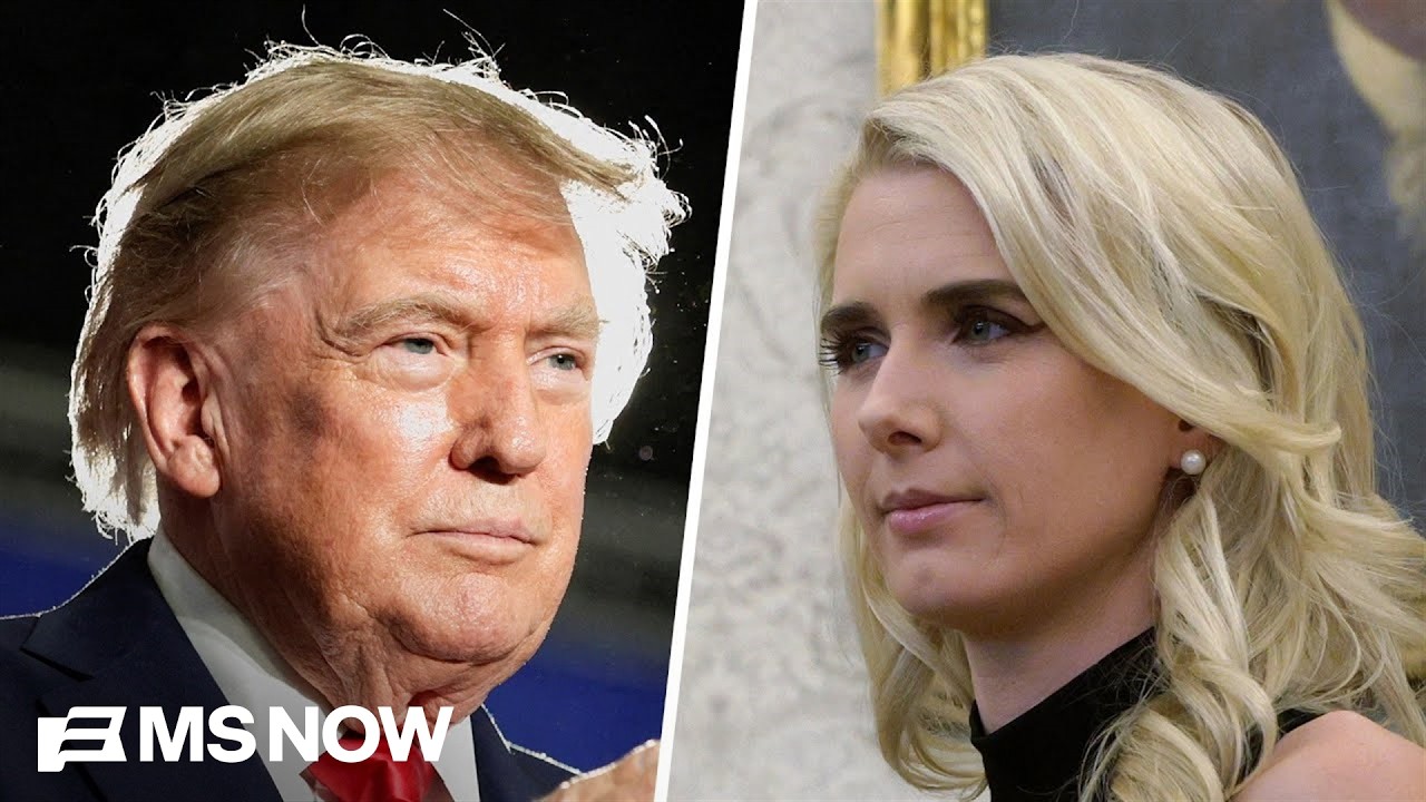Some WH officials find Harp’s closeness with Trump ‘problematic’ and ‘disturbing’: Peter Baker