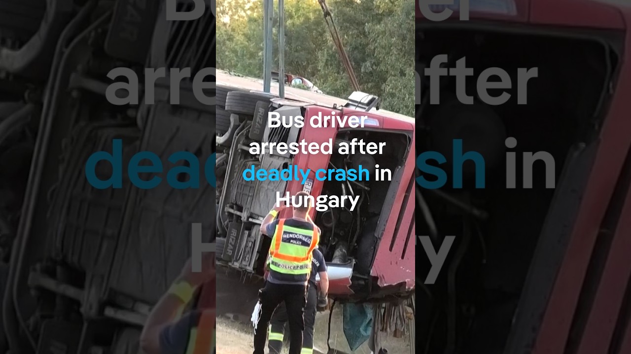 Survivor describes horror on deadly bus crash in Hungary | DW News