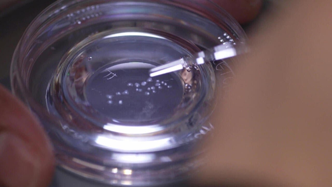 The ins and outs of egg freezing | 60 Minutes Archive