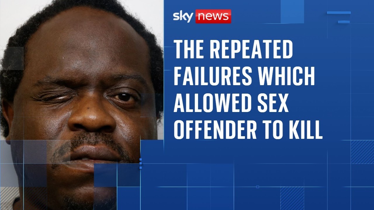 The repeated failures which allowed sex offender Simon Levy to kill
