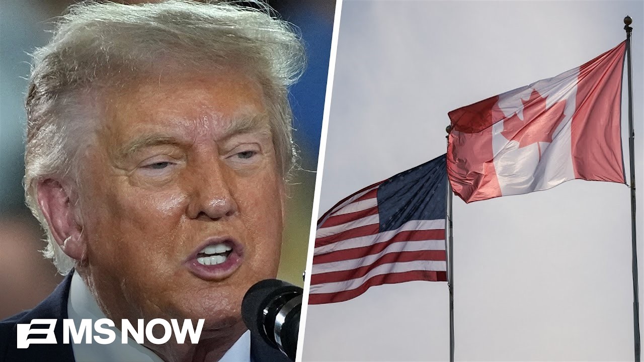 Trump ‘has never appreciated’ strength of U.S.-Canada’s symbiotic relationship: Fmr. Ambassador