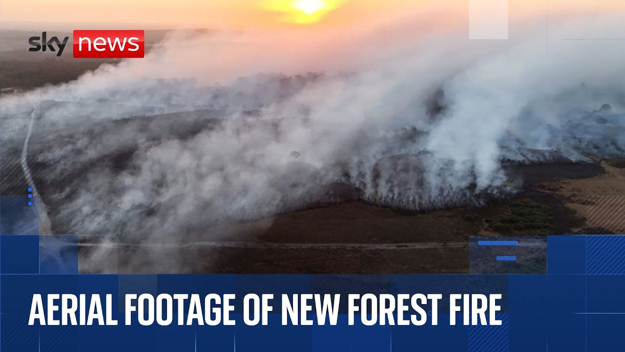 Watch aerial footage of New Forest fire