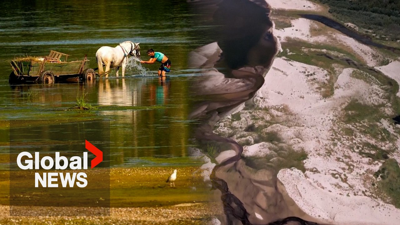 “Where did the fish go?”: Europe grapples with worsening drought amid record-breaking heatwaves