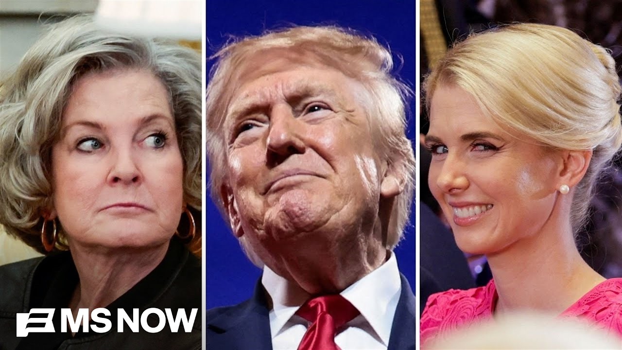 Where does WH Chief of Staff Susie Wiles stand on Harp’s closeness to Trump? 