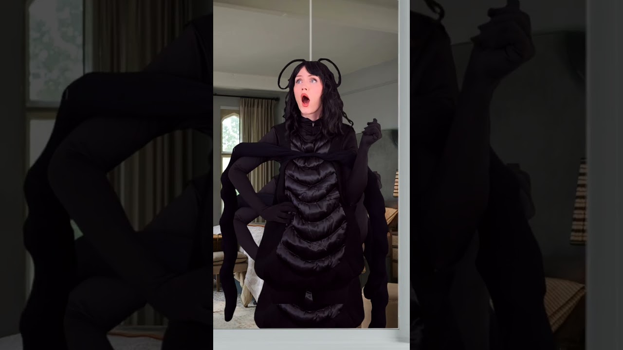 why do spiders do this?? 🕷️🕸️