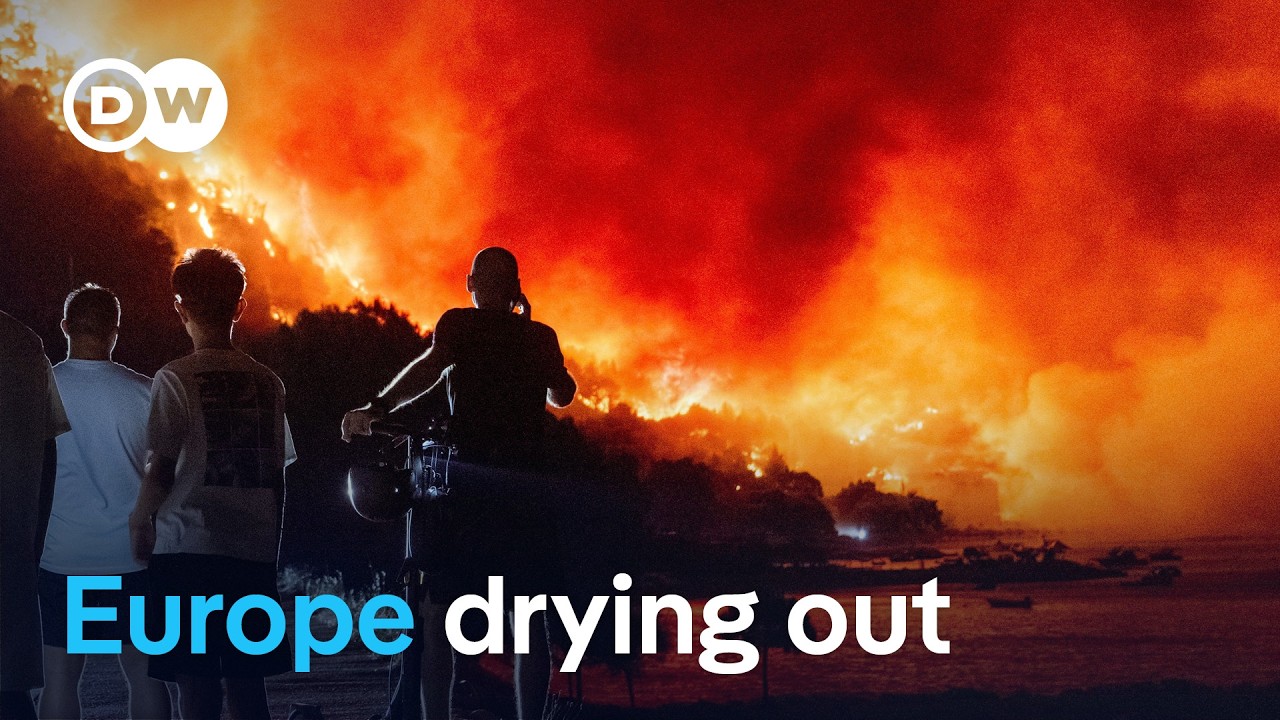 Why wildfires are spreading beyond Europe’s traditional fire zones | DW News