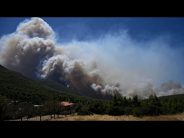 Wildfires in Europe: blazes continue to spread in France and Greece