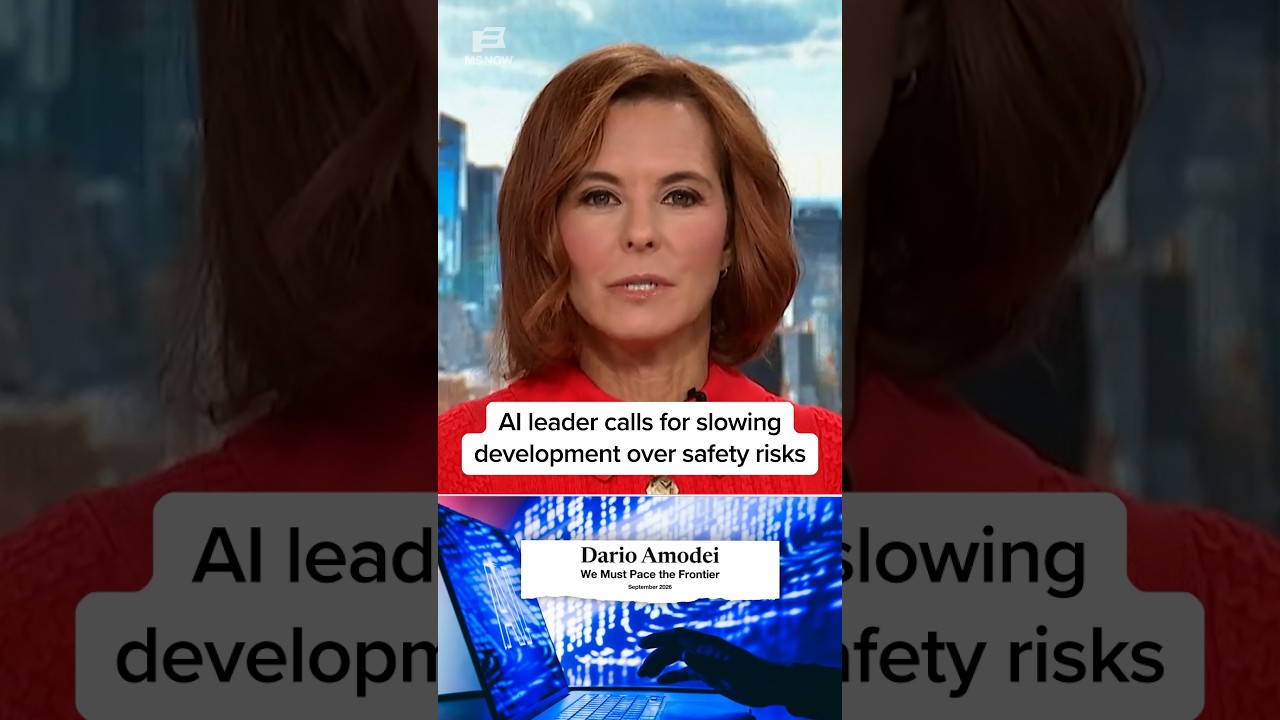 AI leader calls for slowing development over safety risks