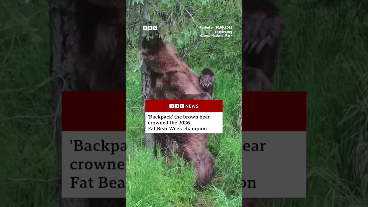 Backpack will soon enter hibernation for winter. #BBCNews