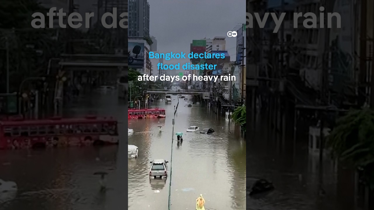 Bangkok declares flood disaster after days of heavy rain | DW News