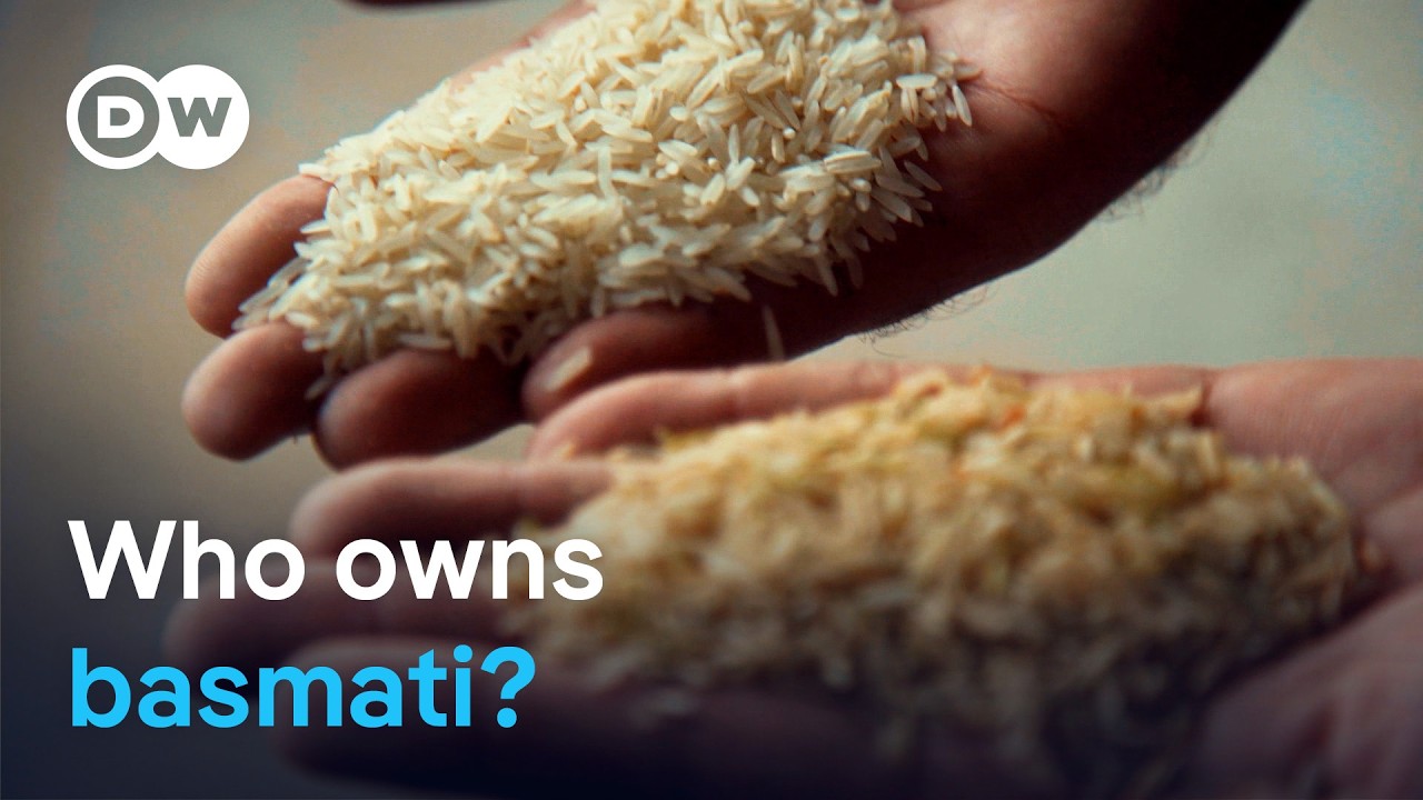 Basmati rice: India, Pakistan and the EU dispute | DW News