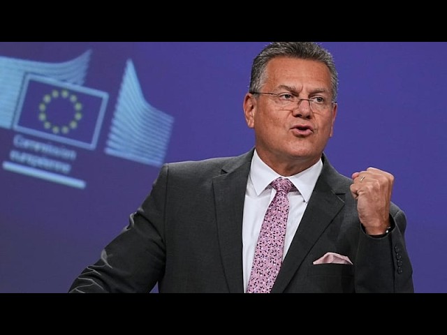 Brussels seeks ‘credible’ outcome in EU-China talks after key negotiators’ call