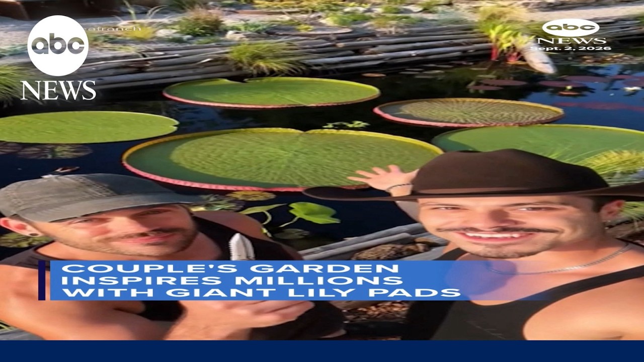 Couple’s garden inspires millions with giant lily pads