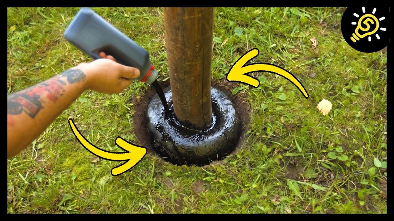 DIY Ideas: Fix Up Your Backyard with These Smart Hacks 🛠️
