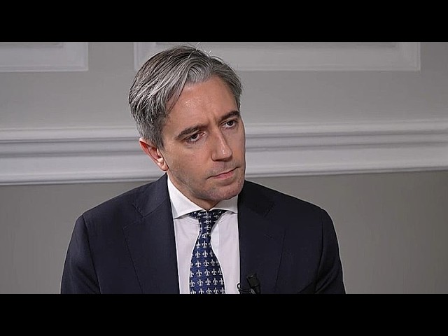 EU-Canada relationship is ‘not hostile to anybody’, Harris says