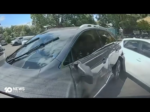 Extremely Drunk Driver Goes Crazy in a Parking Lot
