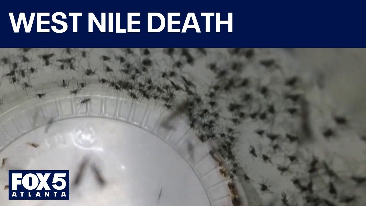 Georgia reports first West Nile virus death of year | FOX 5 News
