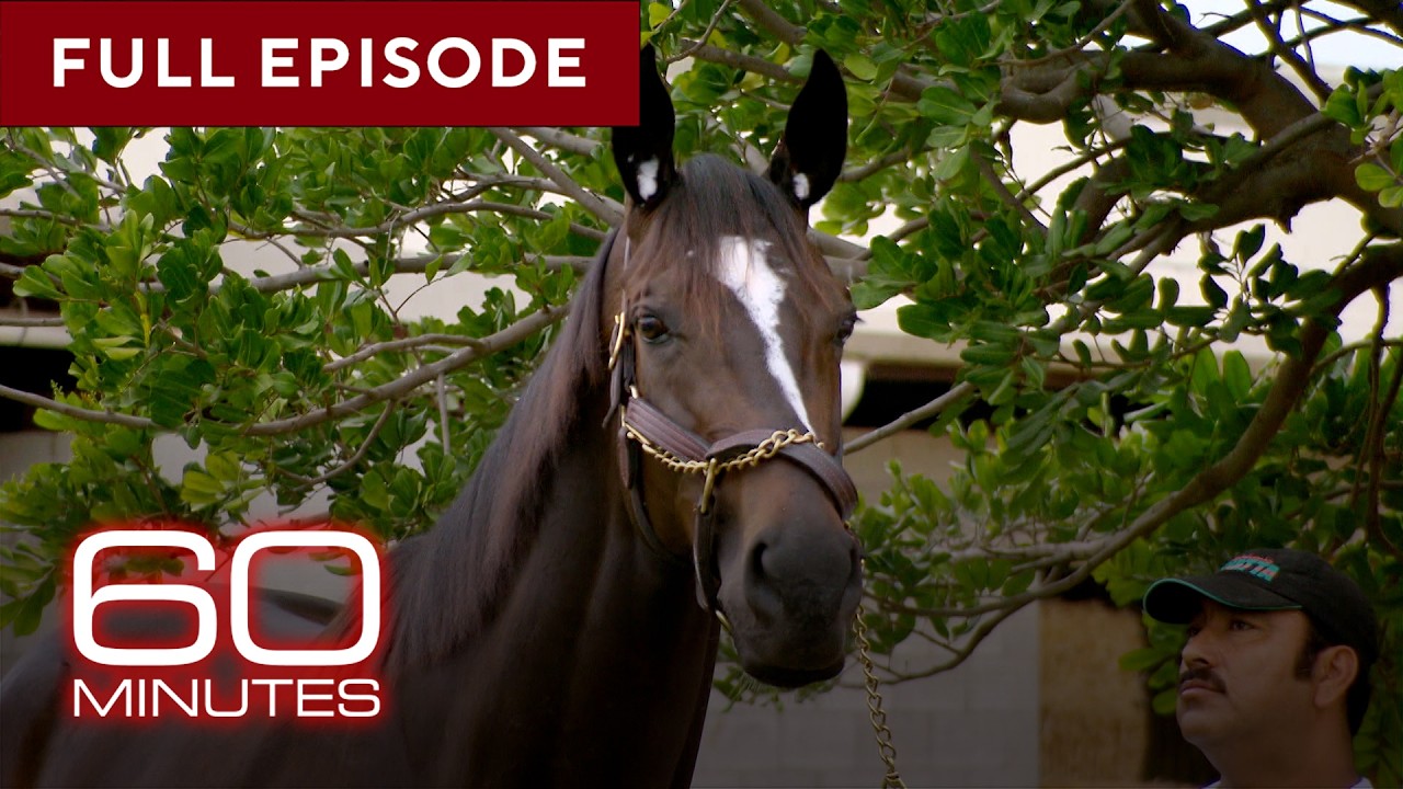 Horse Stories | 60 Minutes Full Episodes