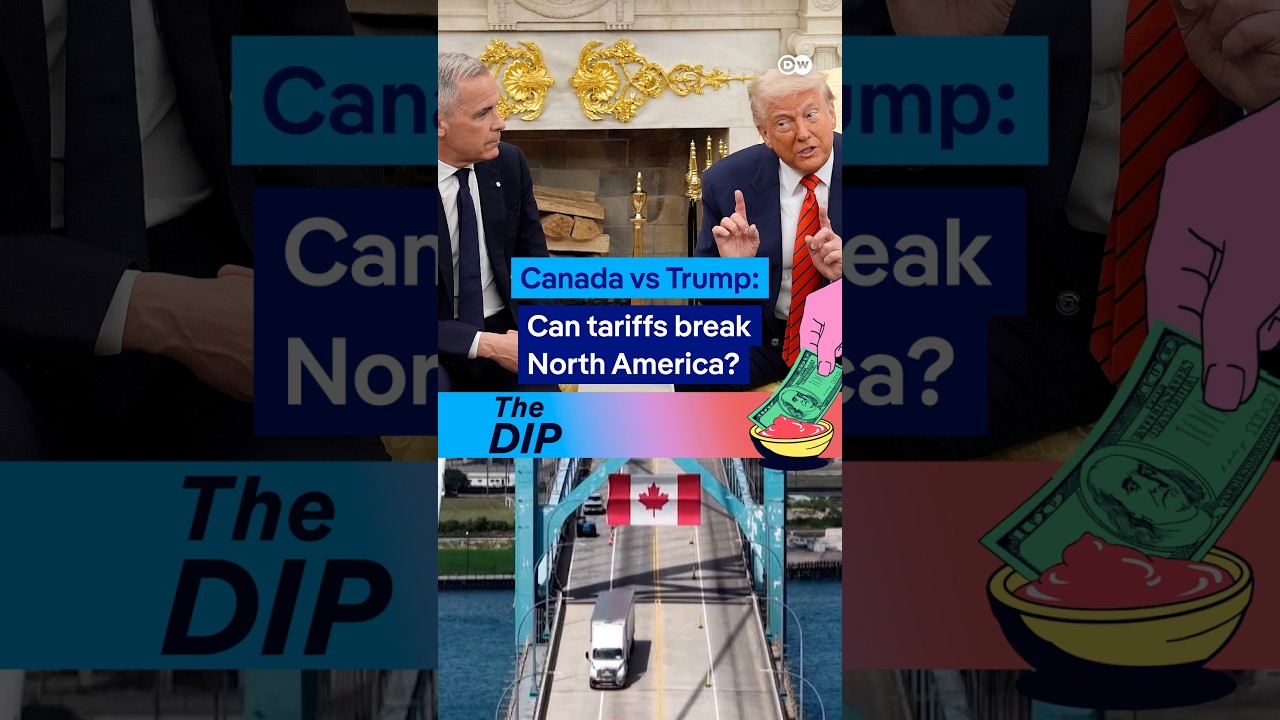 How damaging are Canada’s retaliatory tariffs for its own economy? | The Dip Podcast