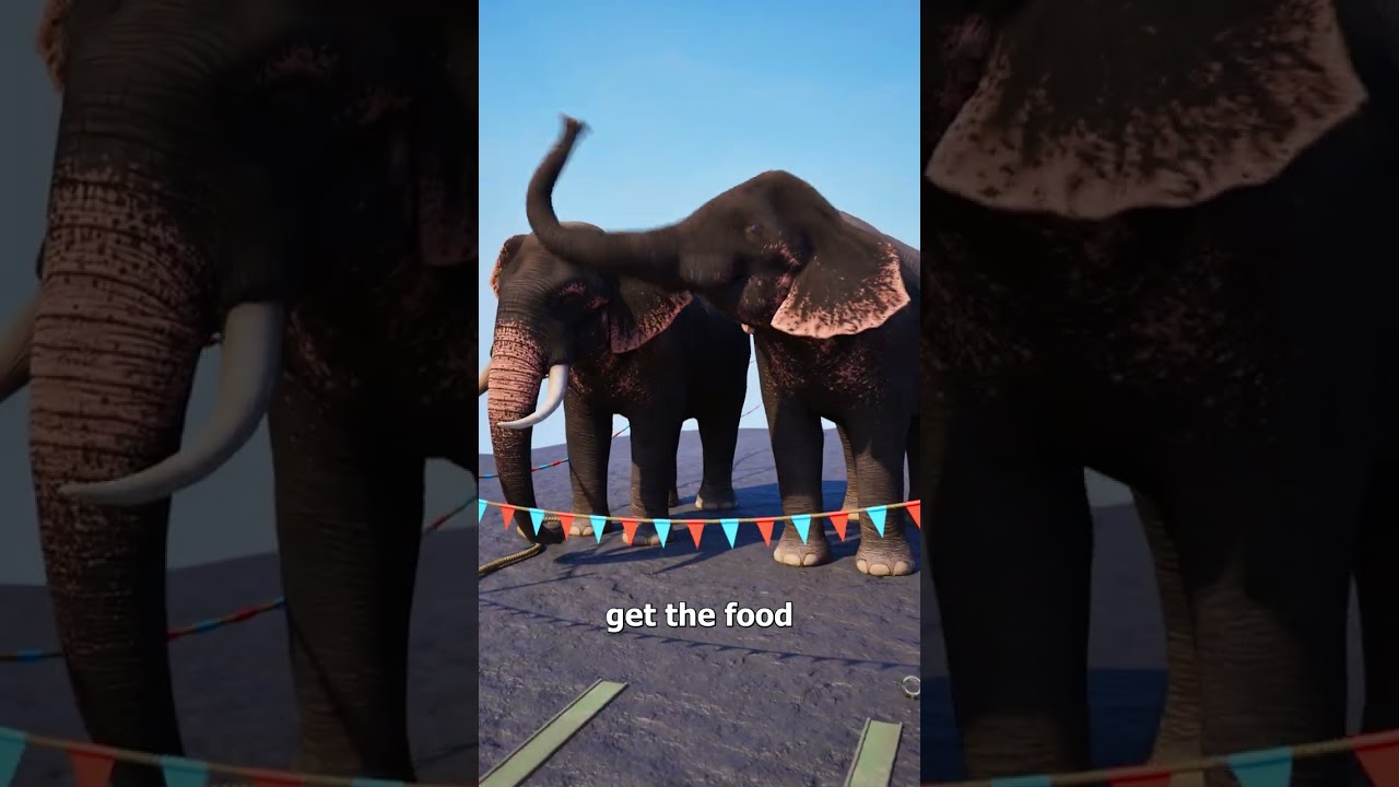 How Elephants Work Together 🤔