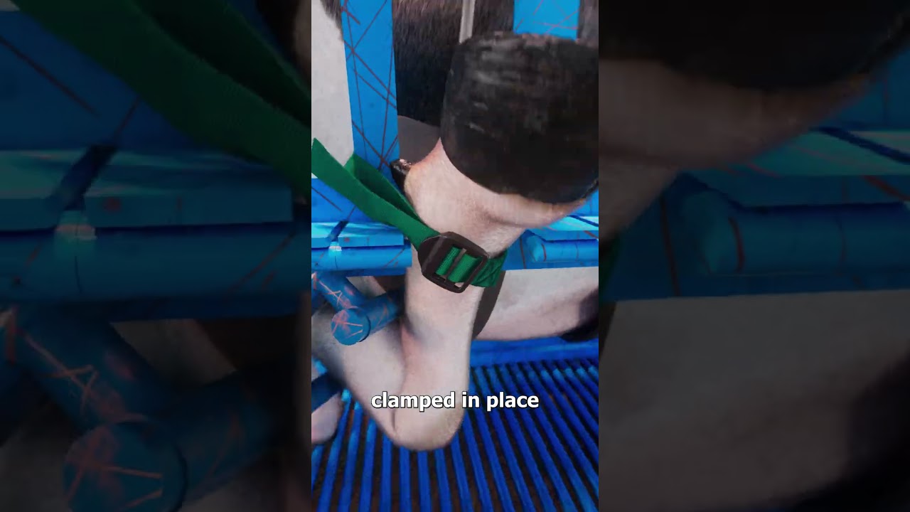 How They Fix A Cow’s Injured Hoof 🤔