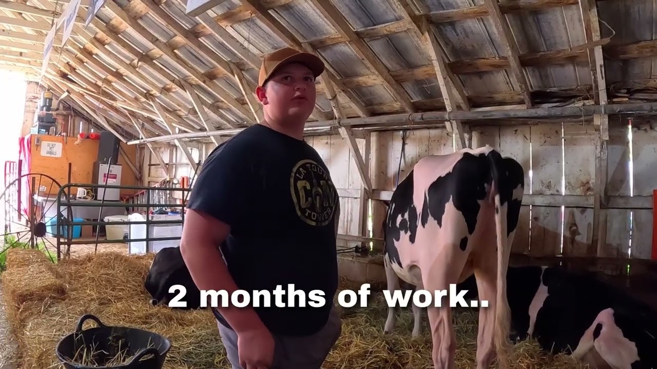 I asked a farmer how to milk a cow 🥺❤️