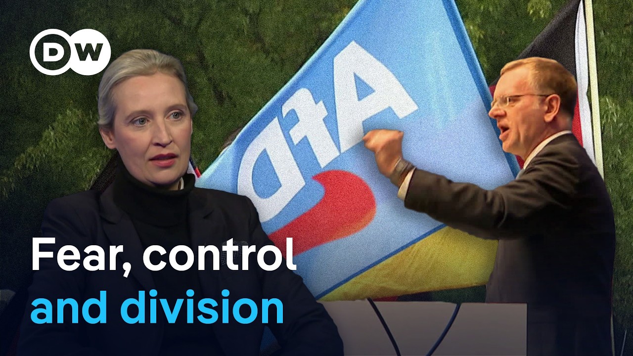 Inside the AfD – How Germany’s far-right populist party operates | DW Documentary