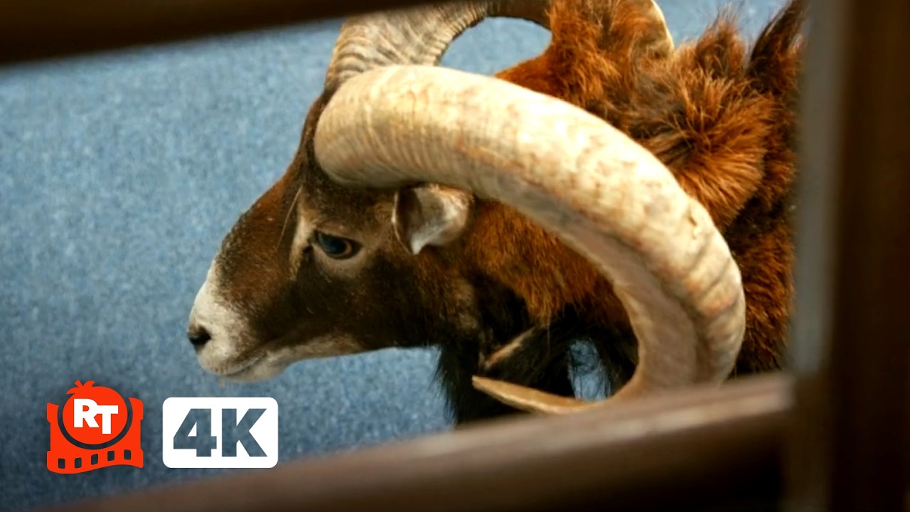 Jackass: Best and Last (2026) 4K – Ron The RACIST Ram (4/10) | Movieclips