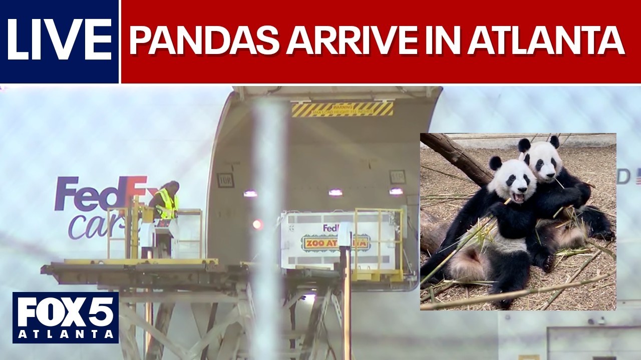 LIVE | Giant pandas arriving at Zoo Atlanta & Man shot and killed at Camelot Condos