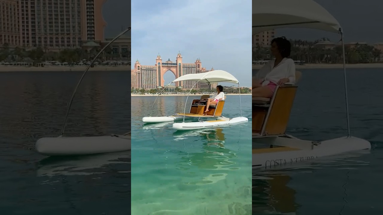 Luxury Electric Catamaran! 😍