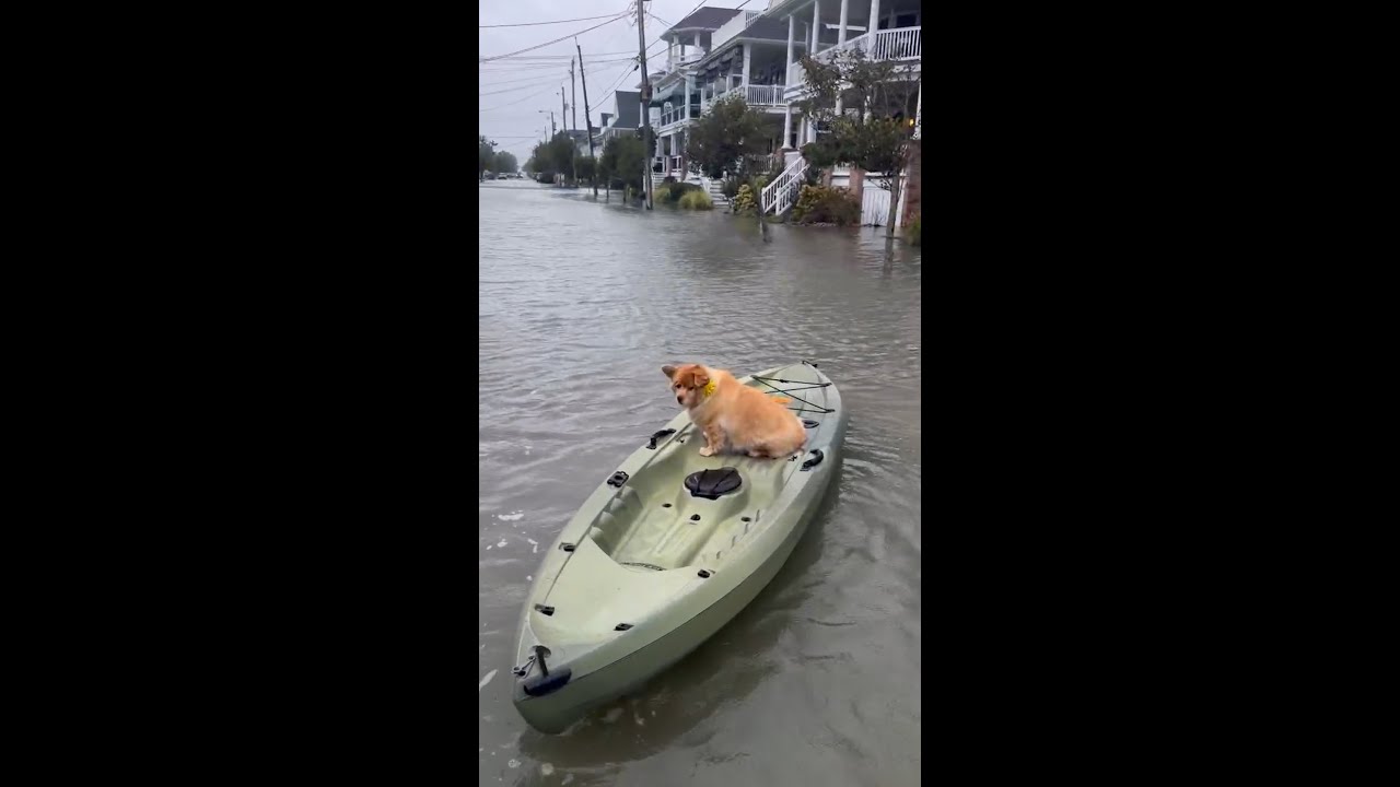Motorboats, surfboards and kayaks come out after nor’easter