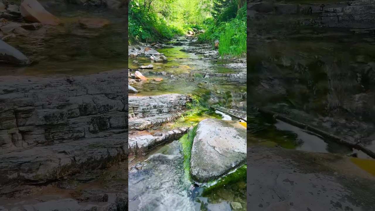 Nature Stream ☘️ Healing Music for the Heart & Mind. Nature sounds Stress Relief and Deep Sleep