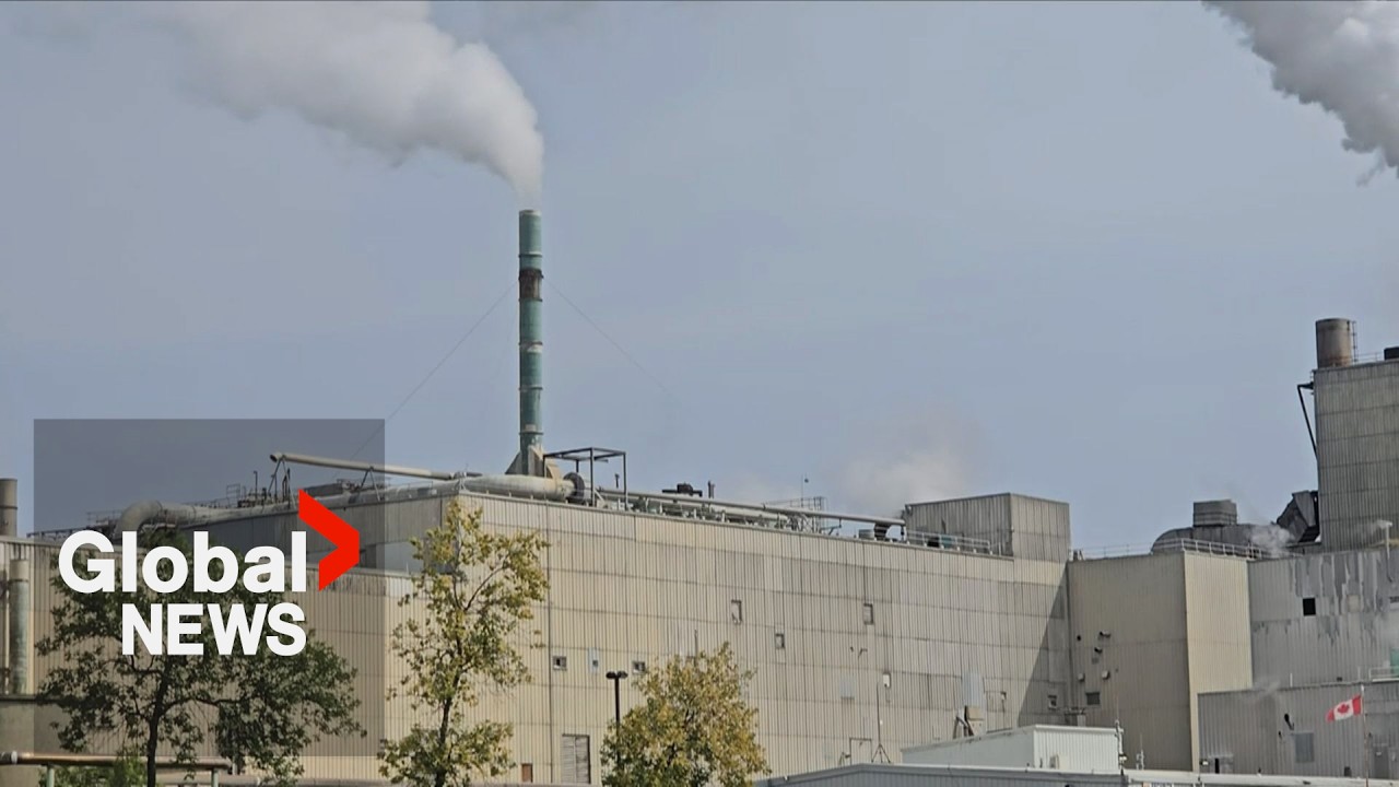 New Brunswick mill laying off hundreds of workers, union says