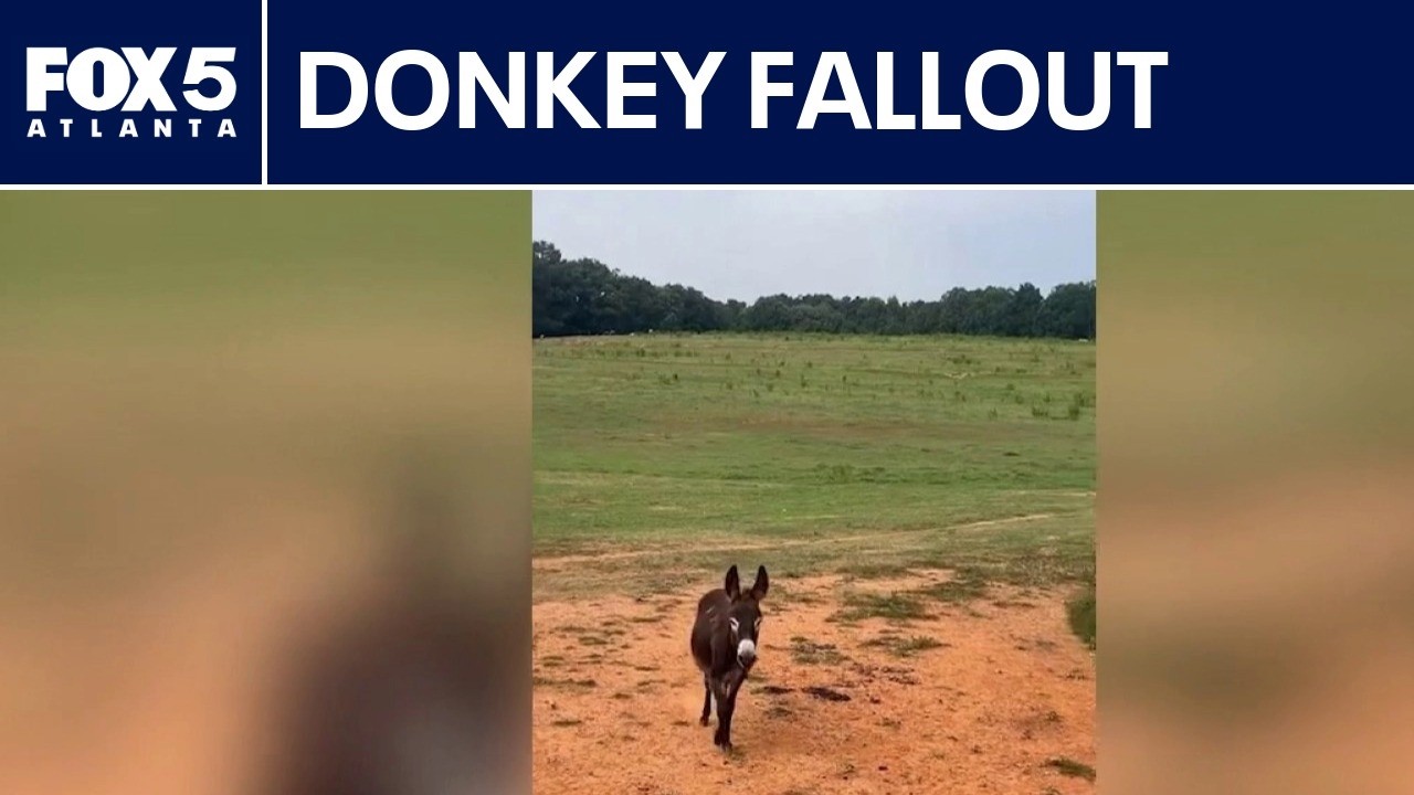 Owner of killed donkey sends cease-and-desist letter | FOX 5 News