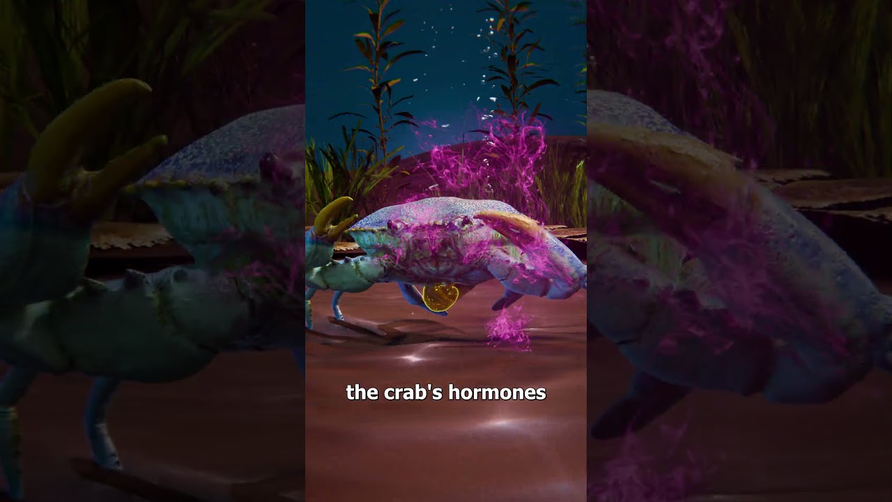 Parasite Forces A Crab To Raise Its Babies 😨